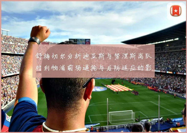 舒梅切尔分析迪亚斯与努涅斯离队对利物浦前场逼抢与后防适应的影响