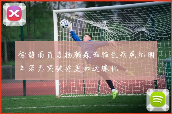 徐静雨直言杨瀚森面临生存危机明年若无突破将更加边缘化