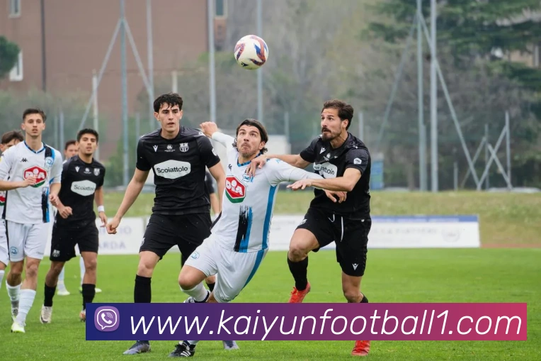 开云足球APP 高清赛事图